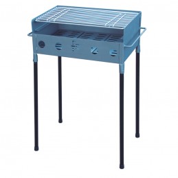 Barbacoa carbon/lena...